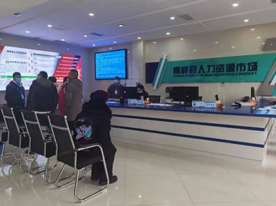 桐梓縣 以專業咨詢服務為引擎，筑牢“穩就業”“保就業”基石，驅動經濟社會高質量發展